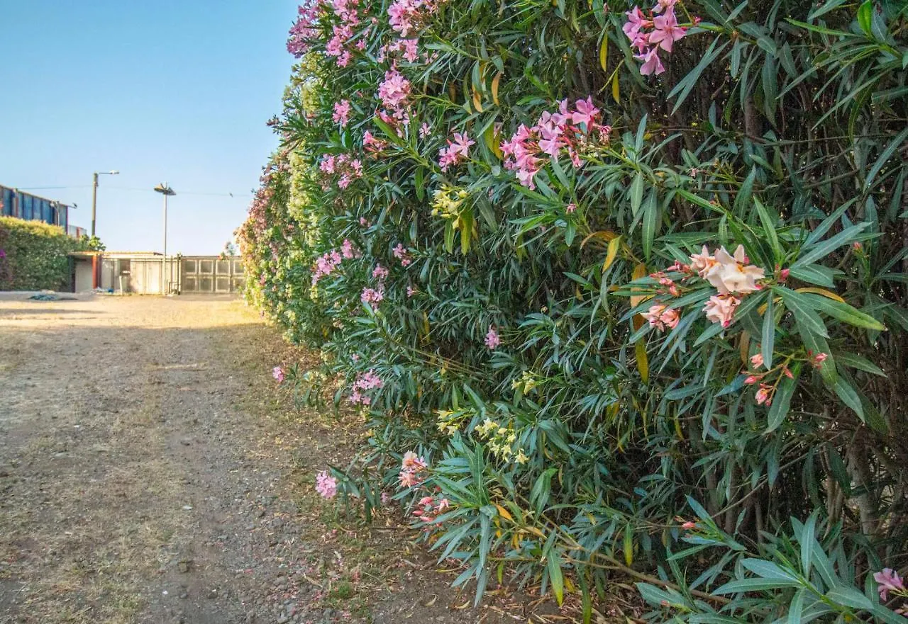 Royal Playa Suite And Apartament -Private Parking- Self Chek Out Κατάνια